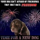 USAnewdog