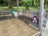 IMG_0959