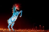 denverhorse