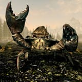 1200px-SR-creature-Mudcrab