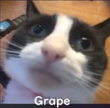 1751500292203363