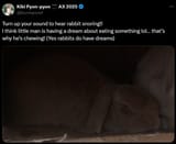 1723340274915235