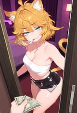 dokitty door