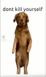 dog-chinese-dance