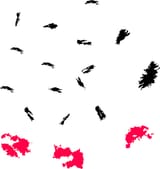 file