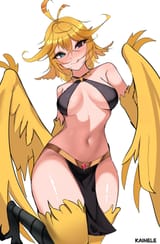 dokibird_harpy