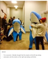 leftsharkex
