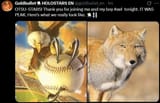 OTSU EAGLE DINGO
