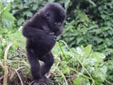 baby-about-six-months