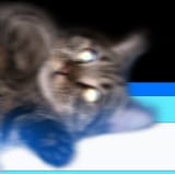 FJiqbgeakAMoB01