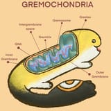 Grem