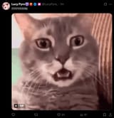 15769845769854765