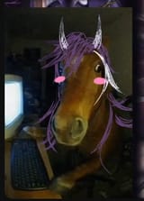 HORSEHAKKA