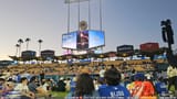 videoframe_24252722