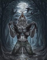 FILLYABS