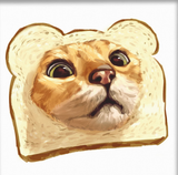 toastCat
