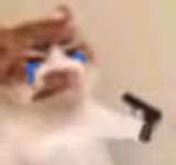 GeAIdRga0AMSN3J