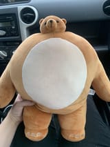 swolkimo