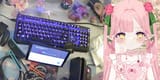 dianko switch