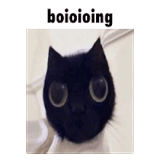1754915272111
