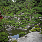 image_webp(2)