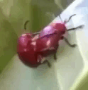 1724875317279562