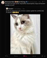 1751832143996
