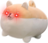 shibe activated