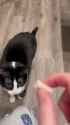 3fd7a9f9cd4472_thumb.jpg