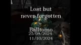 7296325