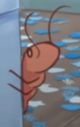 Curious Chumbud