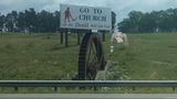 bama