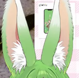 ears