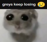 greys keep losing[sound=files.catbox.moe%2F3jqau0.mp3]