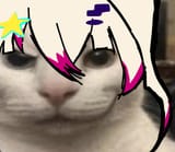 cat Lia cat 2