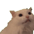 1733994145579927