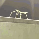 1730720681566753
