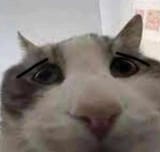 1743870945048730