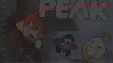 1731347752219293