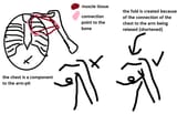 1555023940293