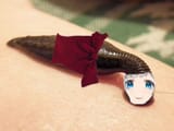 red leech
