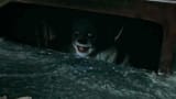 pennywise_sewer