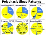 Sleep