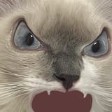 1723135527492482