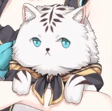 arscat