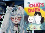 chats des rues