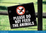 close-up-please-do-not-feed-animals-sign-hung-fence-green-grass-background-224759297