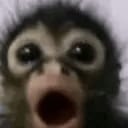 MonkePog