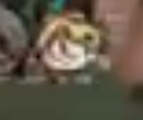 smol yuyu 1 pixel