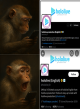 Monke beggar